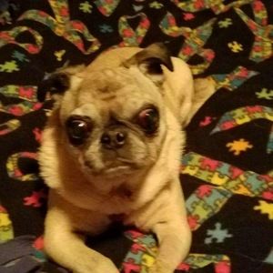 Meet your Posher, Margaret